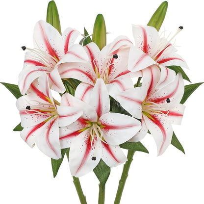A cluster of white lilies with vibrant red stripes and green leaves on a solid white background.