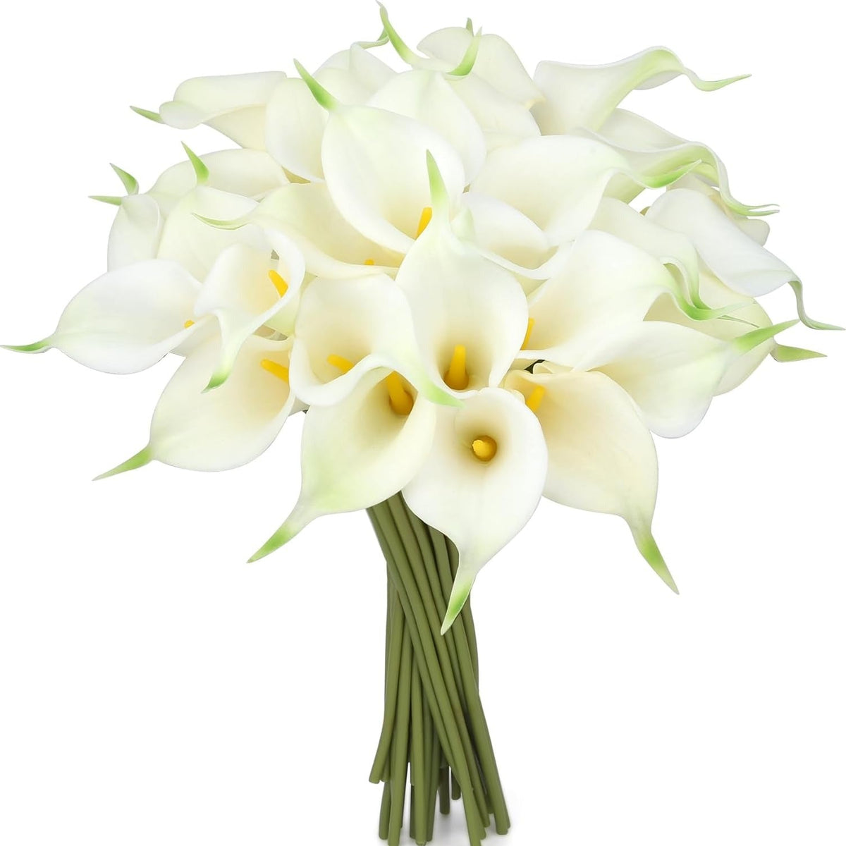 Bouquet of white calla lilies on a white background