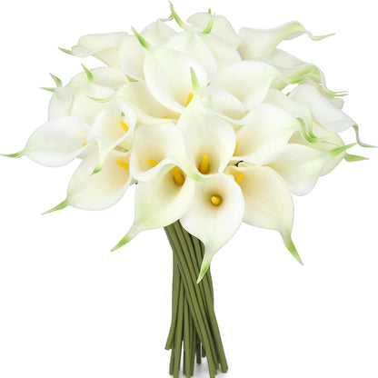 Bouquet of white calla lilies on a white background