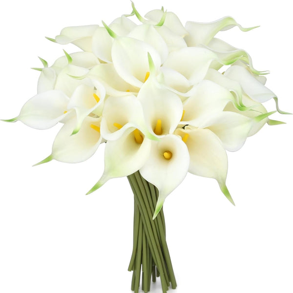 Bouquet of white calla lilies on a white background