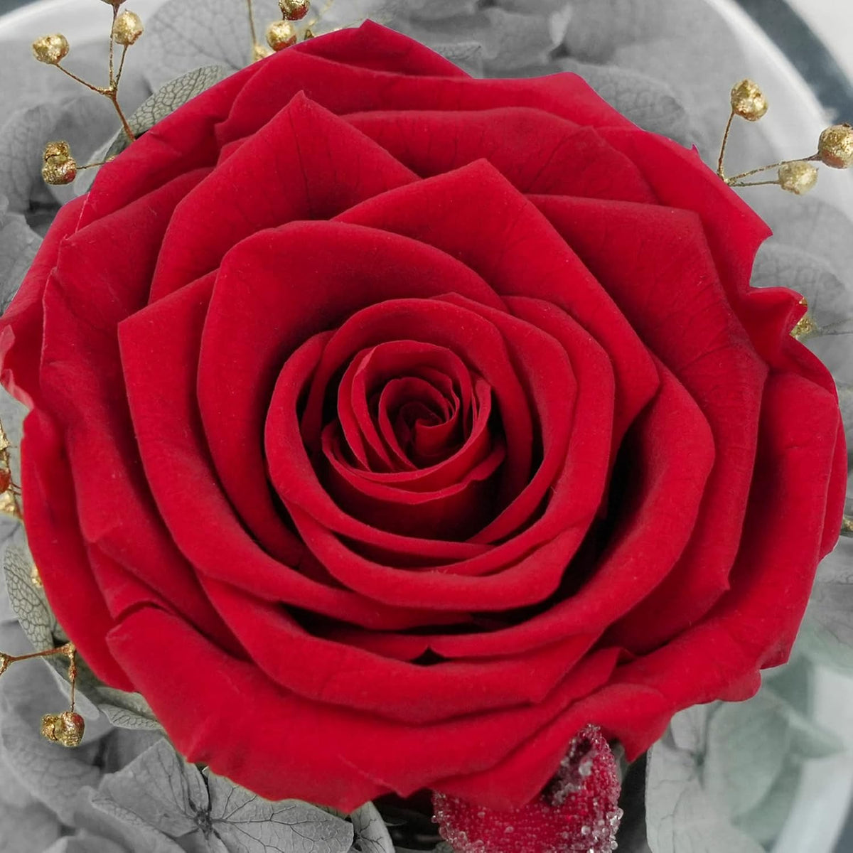 A close-up of a preserved red rose with small gold decorative stems and gray leaves in the background.