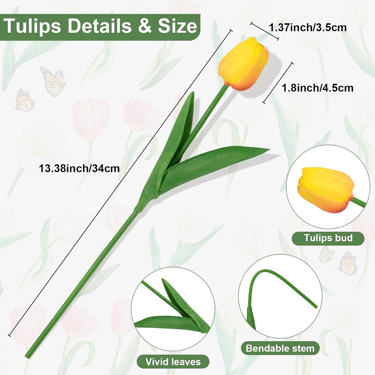 Yellow tulip with measurements and details on a floral background